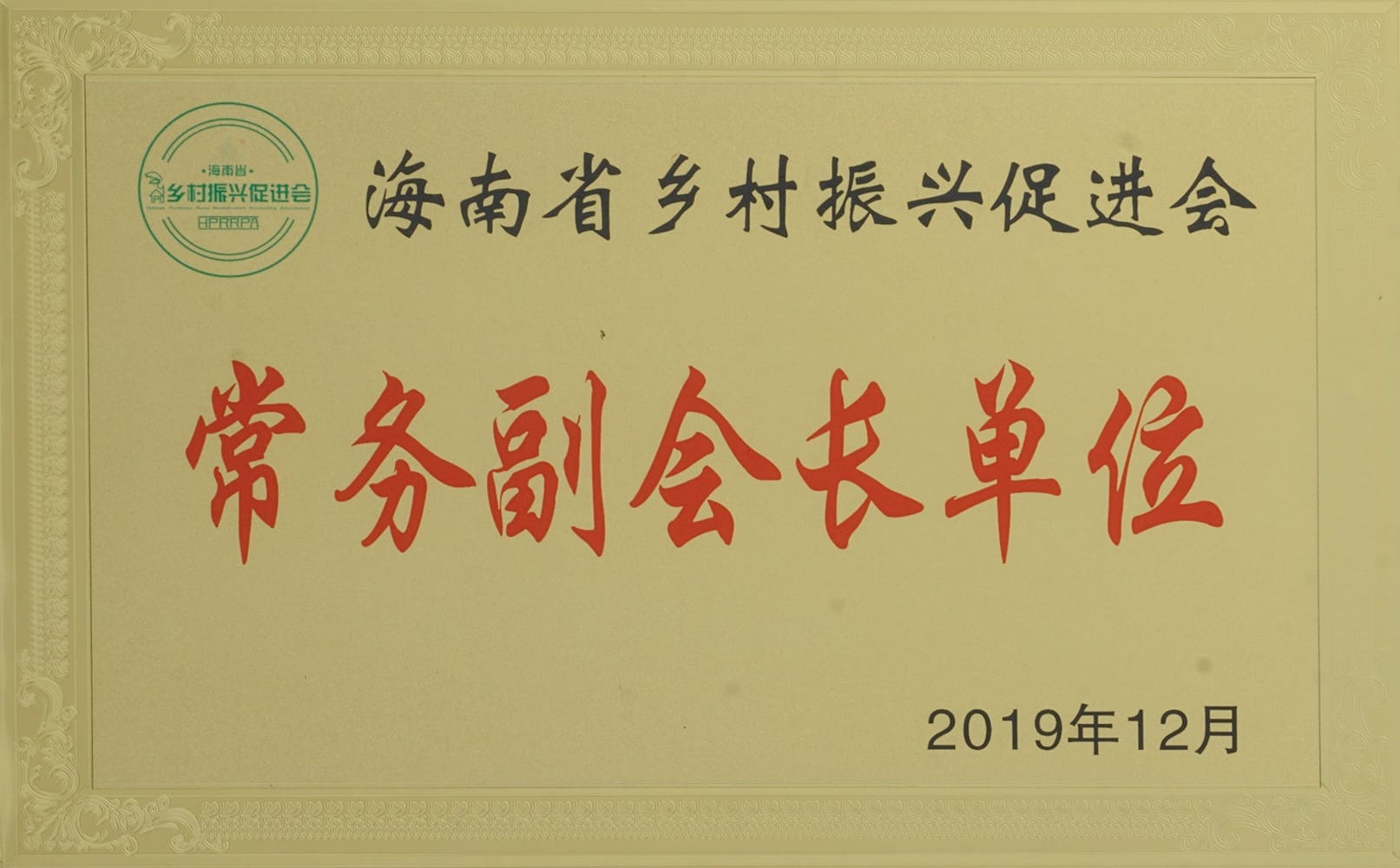 11荣誉